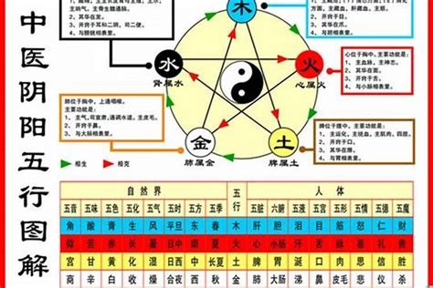 木鼠命|1984年属鼠：木鼠命与海中金命详解